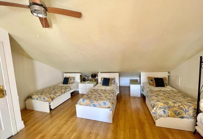 Ljmonade Hostel