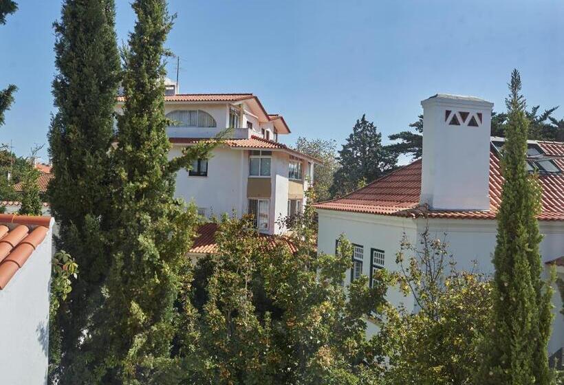 Ljmonade Hostel