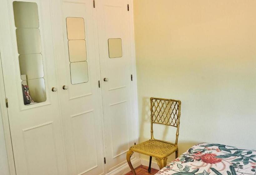 Ljmonade Hostel