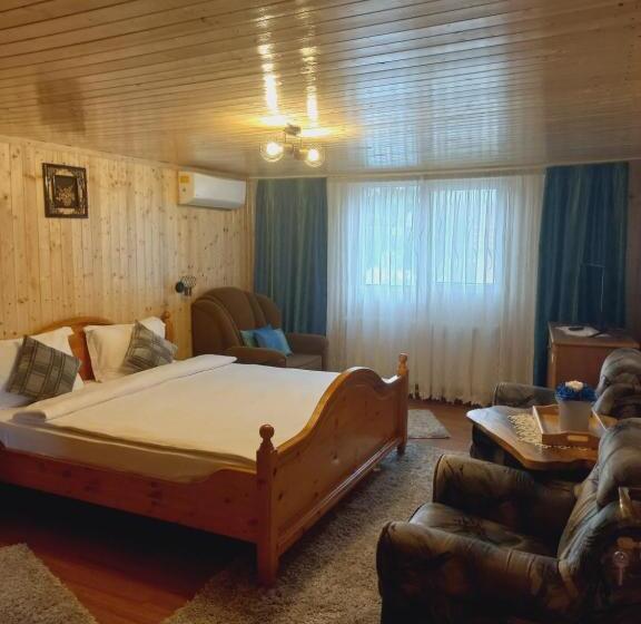 پانسیون Casa Iris Slanic
