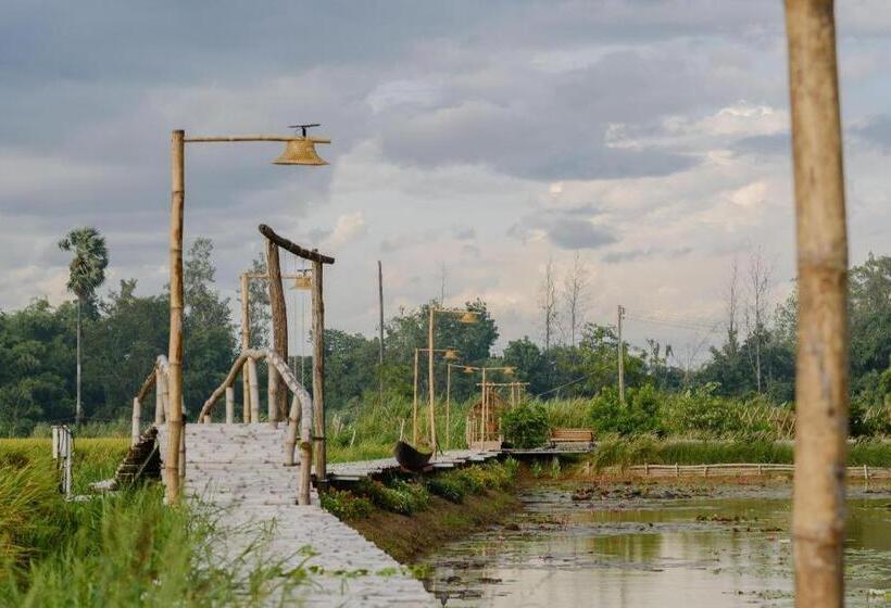 渡假胜地  Nornnadubua นอนนาดูบัว