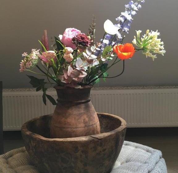 B&b De Drentse Es