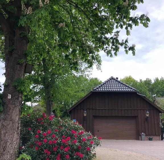 B&b De Drentse Es