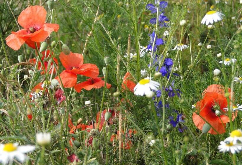 تختخواب و صبحانه Boerderij De Spijken