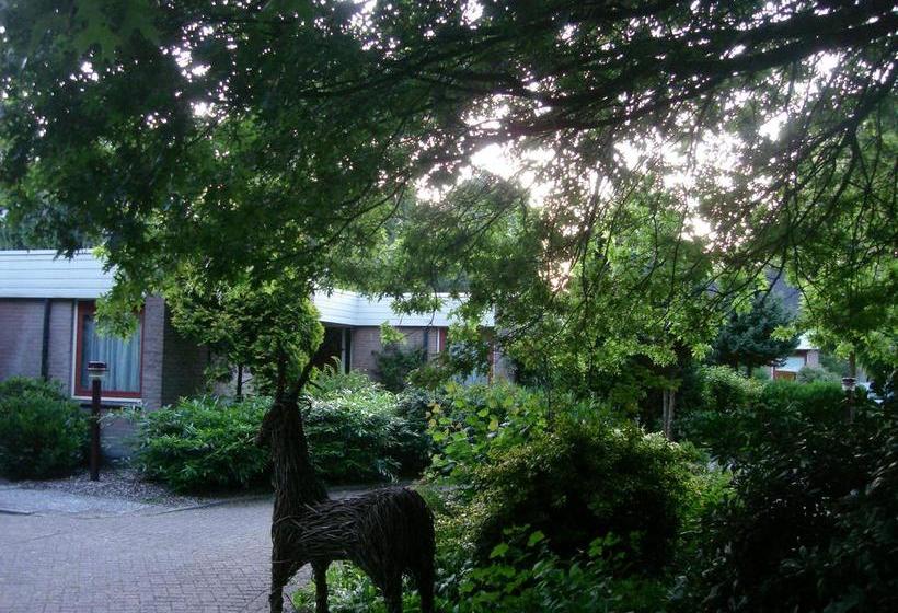 مبيت وإفطار Hof Van Sellingen