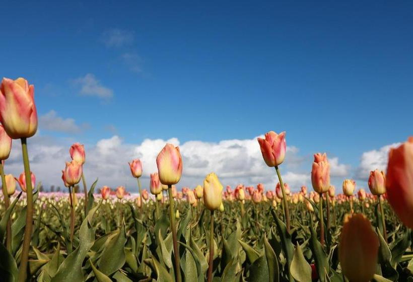 فندق De Stadsboerderij