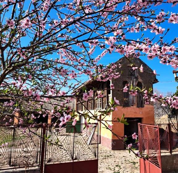 پانسیون Eagles Court   Orlovski Vrt