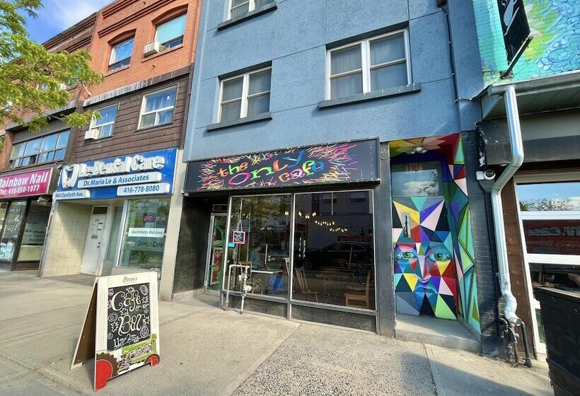 فندق صغير The Only Backpacker S Inn