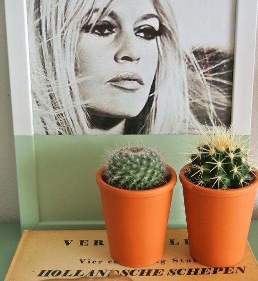 فندق B&b Altijd Wad