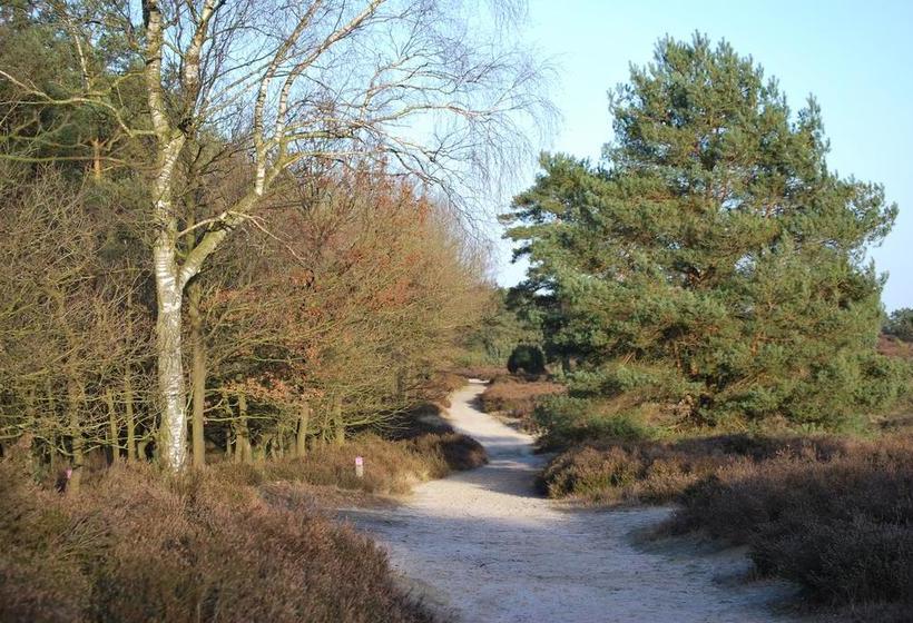 בית מלון כפרי Grotenend