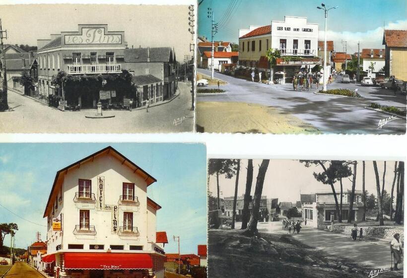בית מלון כפרי Les Pins