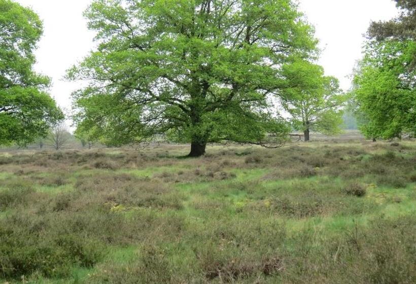 ホテル T Zwanemeer