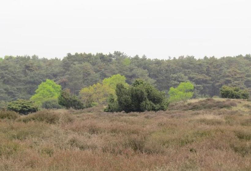 ホテル T Zwanemeer