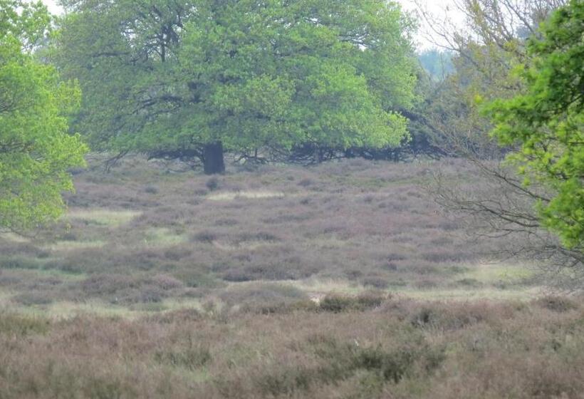 ホテル T Zwanemeer