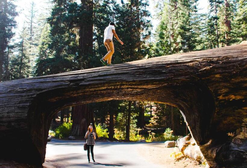 هتل Autocamp Sequoia