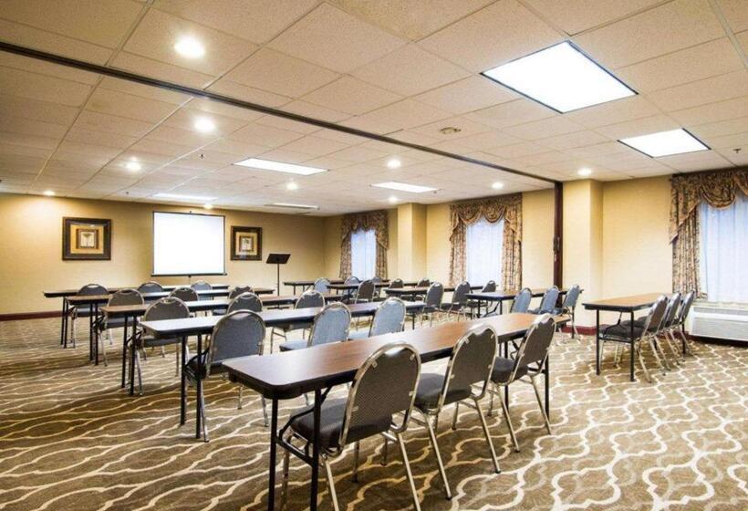 호텔 Comfort Inn & Suites Suwanee   Sugarloaf