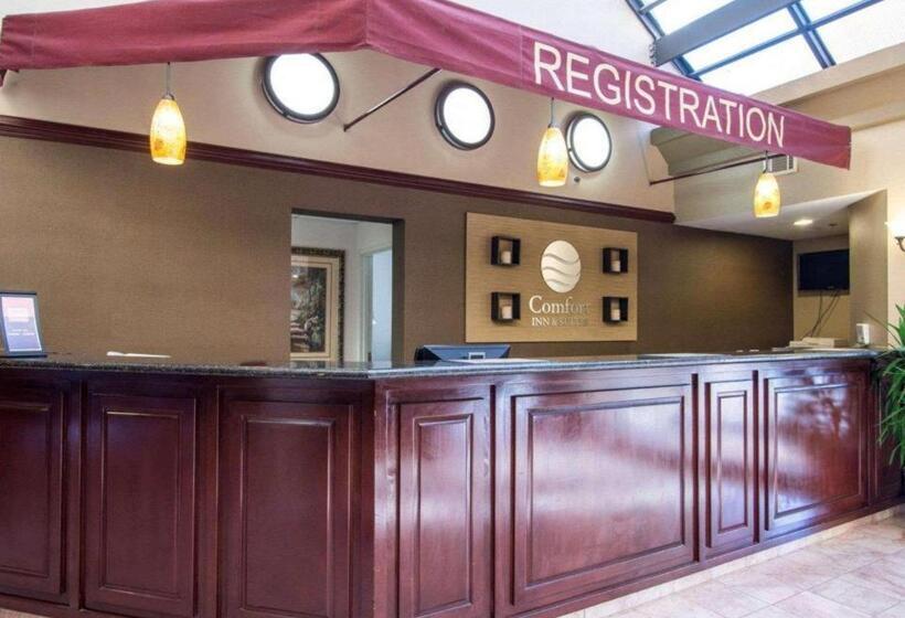 호텔 Comfort Inn & Suites Suwanee   Sugarloaf