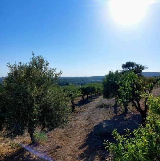 تختخواب و صبحانه Bnb Noto   Charming Tiny House