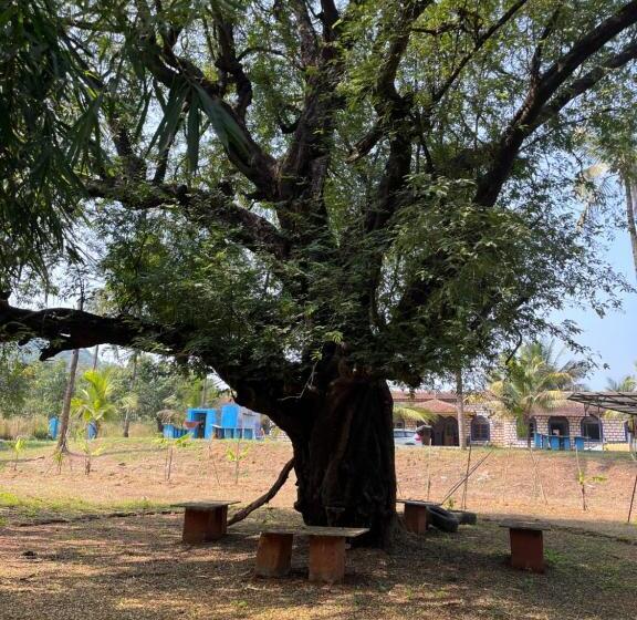 فندق Green Valley Jungle Resort