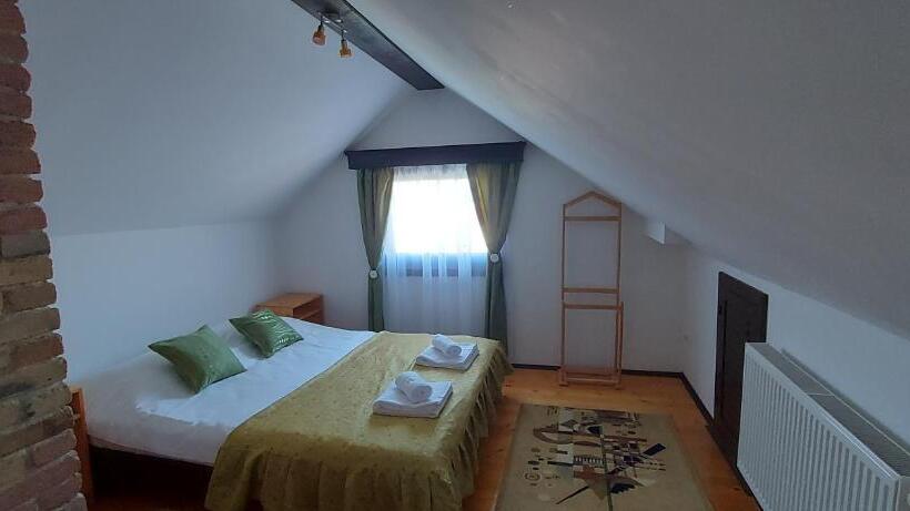 ペンション Casa Amalia Tocile  Sadu