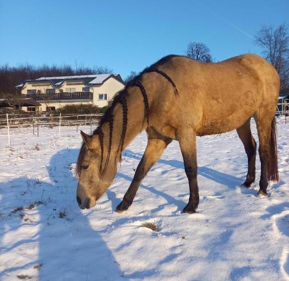 ペンション Haus Nirgendwo