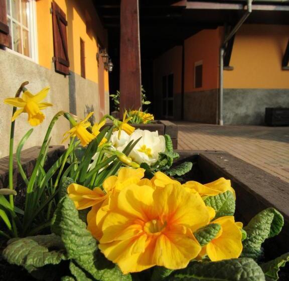 Пансион Maison D Hôtes La Ferme Pierre
