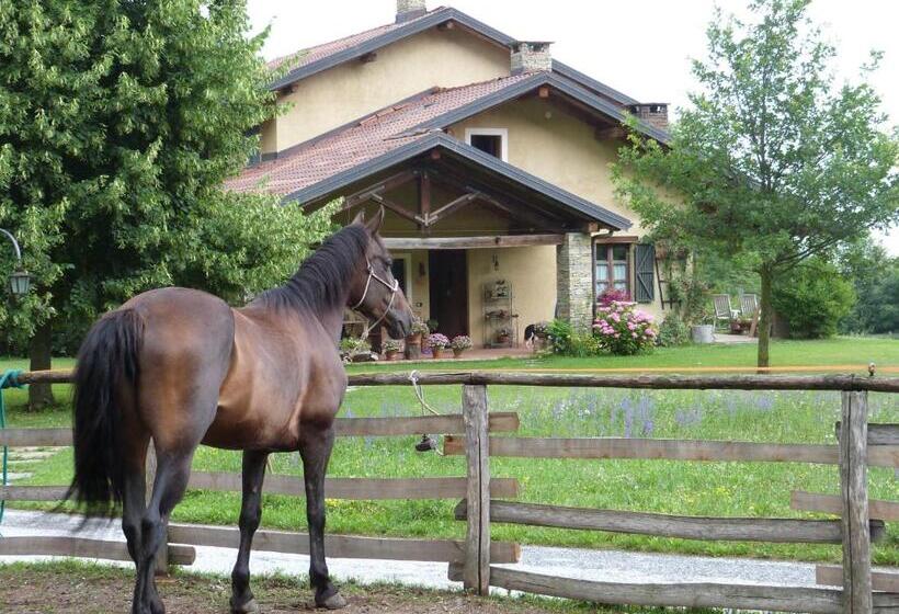 B&b Notte Stellata