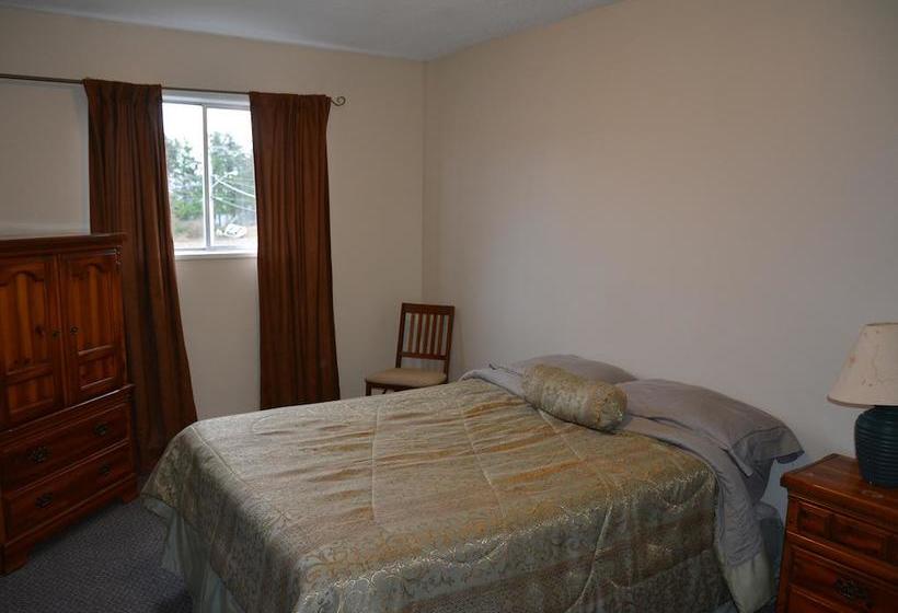 فندق صغير North Coast Trail Backpackers Ltd