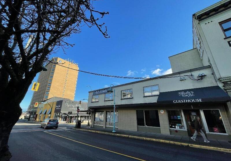 ユースホステル Painted Turtle Guesthouse, ナナイモ Destiniaでお得な割安購入