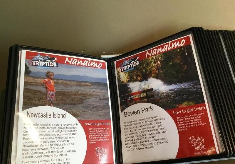 旅馆 Painted Turtle Guesthouse