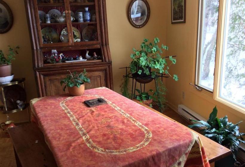 مبيت وإفطار Gite De Brouage