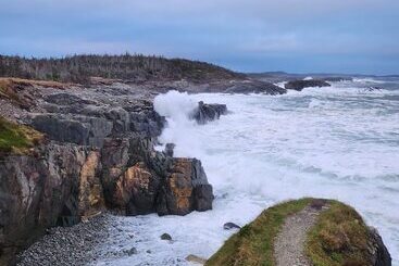 تختخواب و صبحانه Louisbourg Heritage House