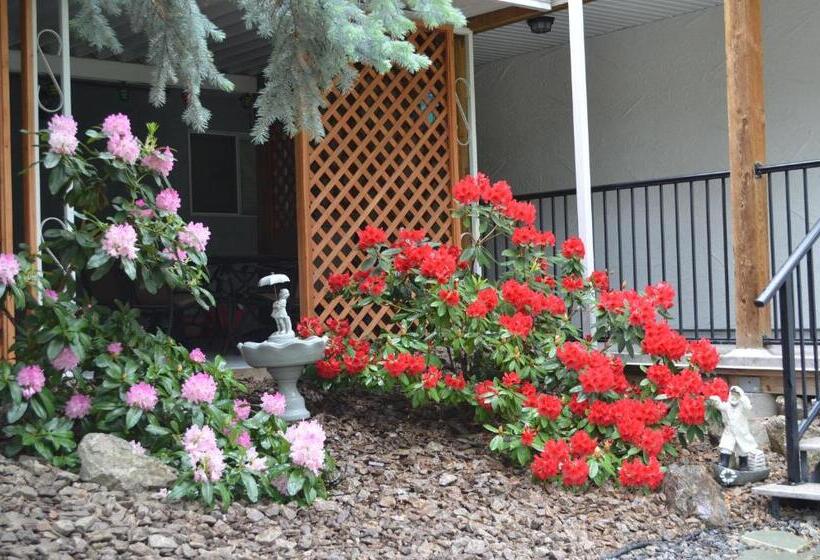 Dogwood Bed & Breakfast