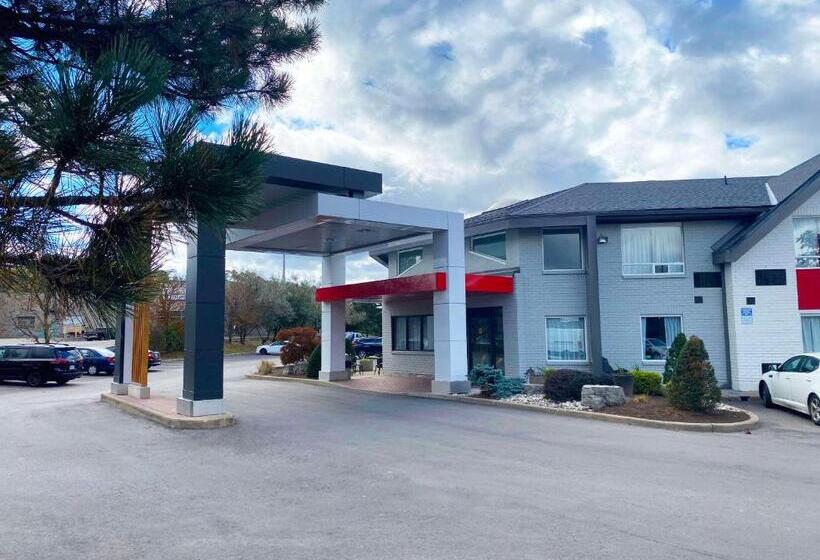 호텔 Comfort Inn