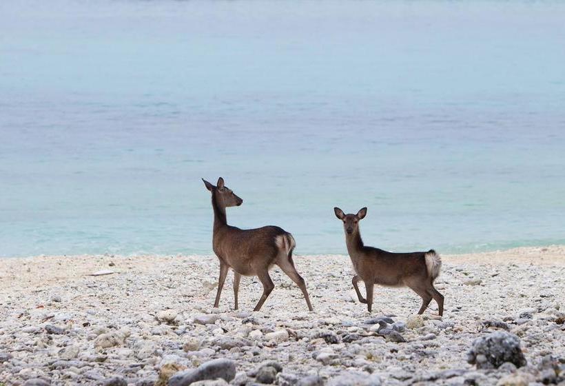 ホテル Pension Seasir