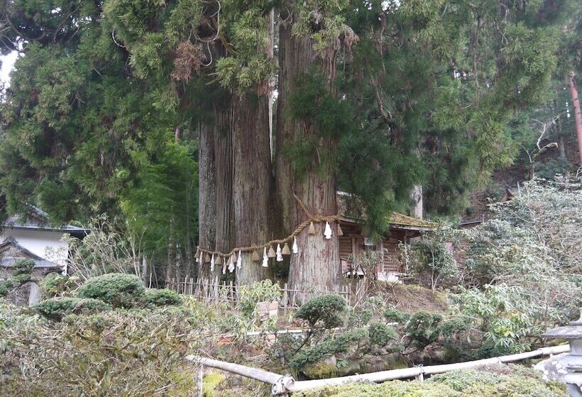 ریوکان Kongo Sanmaiin