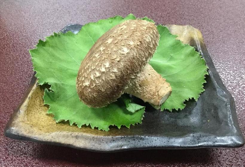 료칸 Kutsurogian