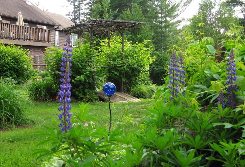 Spring Lake Resort