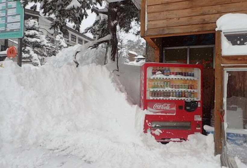 هاستل Hakuba Cortina Lodge