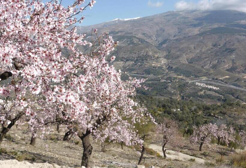 تختخواب و صبحانه Casa Aire De Lecrin