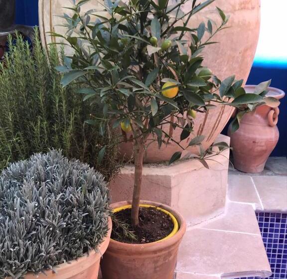 تختخواب و صبحانه Casa Aire De Lecrin