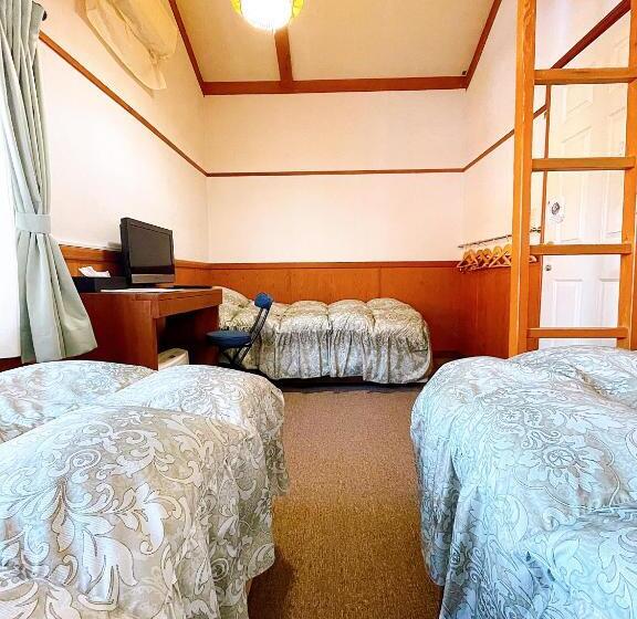 تختخواب و صبحانه Hakuba Pension & Log Hotel Meteor