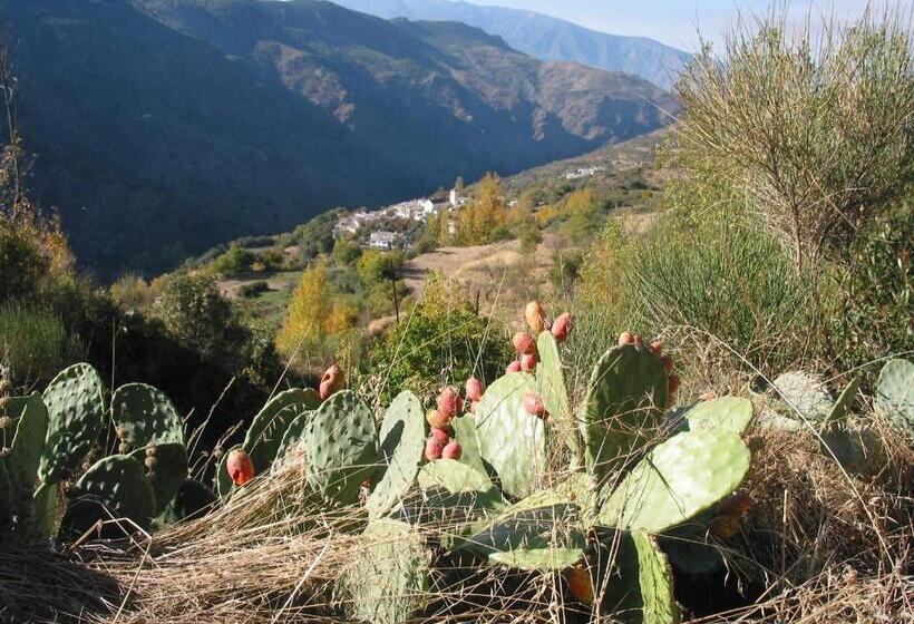 مبيت وإفطار Sierra Y Mar