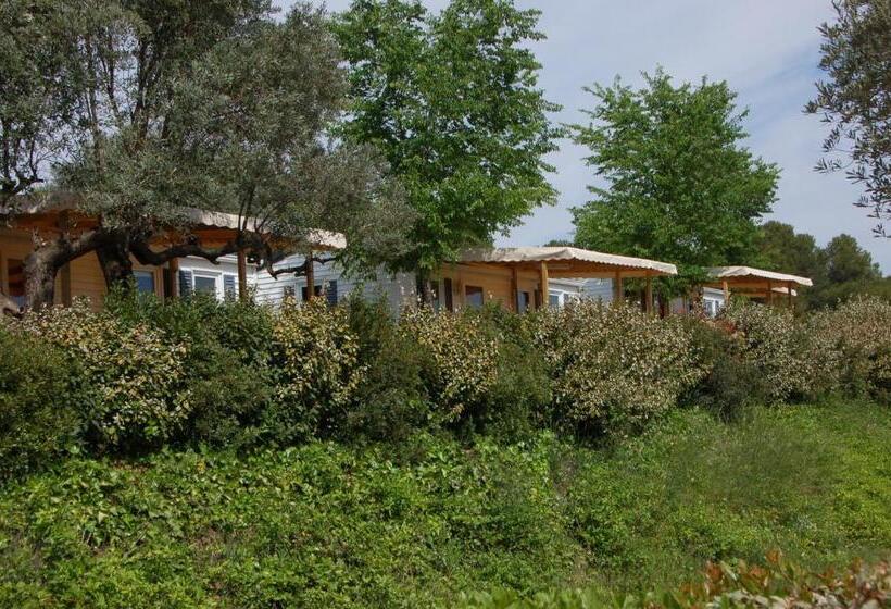 اقامتگاه Camping Terra Alta