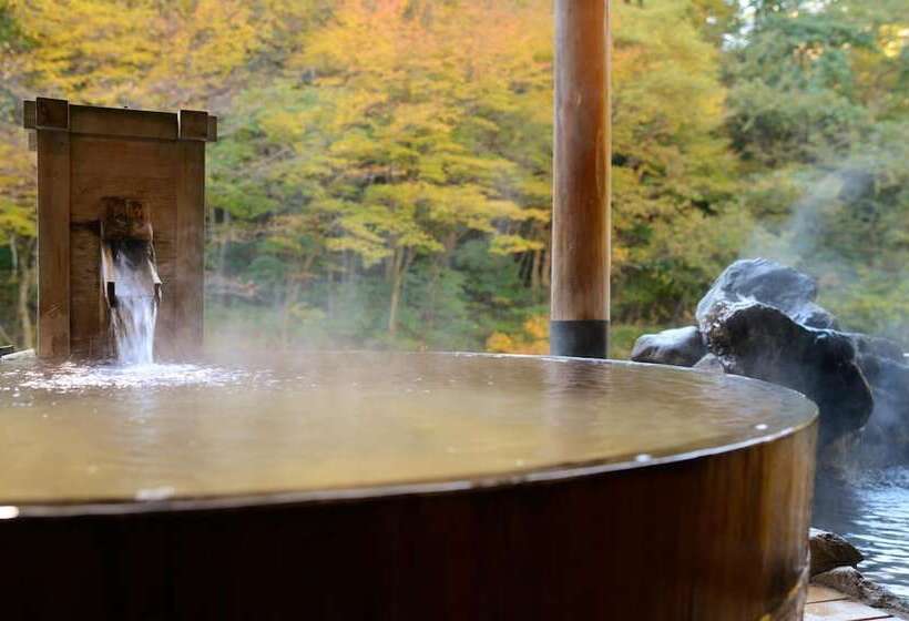 ریوکان Sansuiso Tsuchiyu Spa