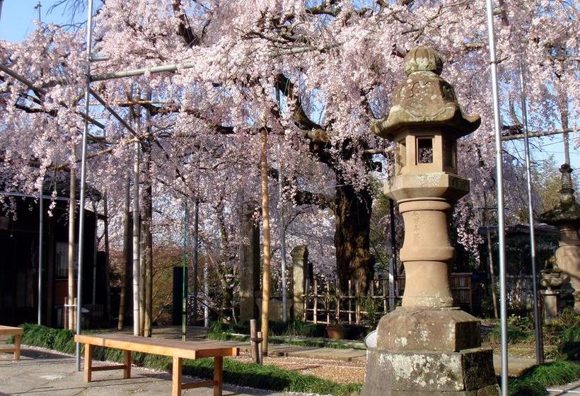 ریوکان Ten Ten Temari
