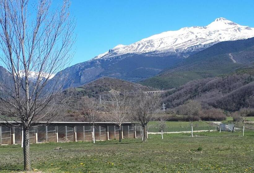 Albergue A Noguera