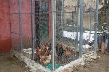 هاستل El Refugio Del Dragón