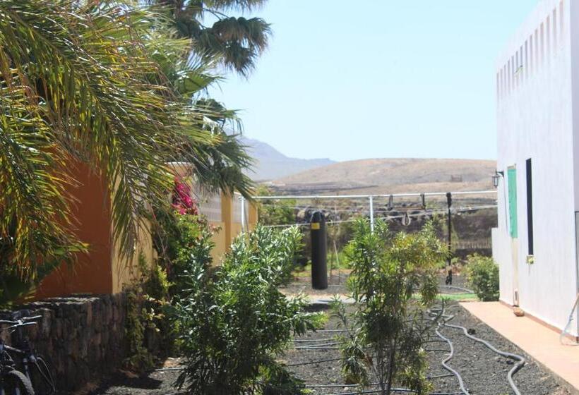 مبيت وإفطار Da Mata Kite&surf House