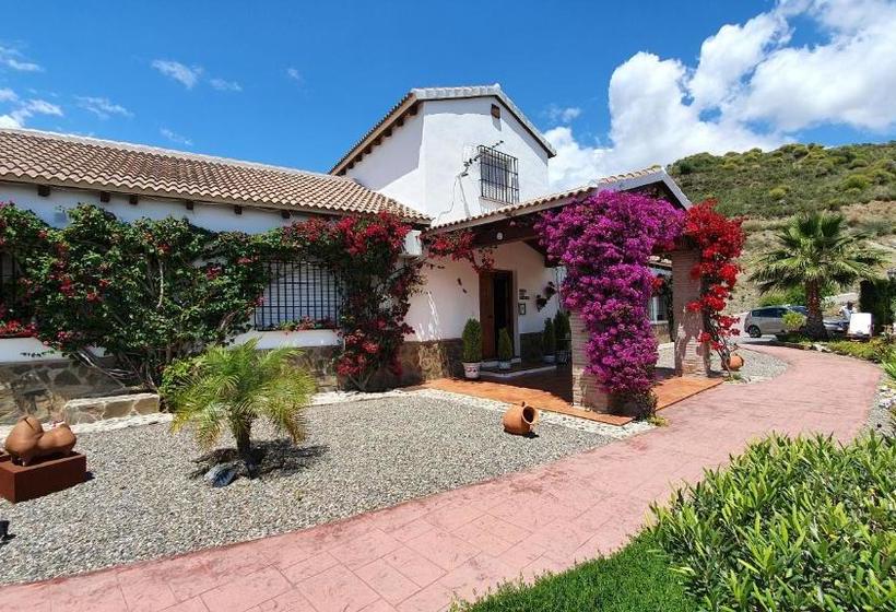 Bed & Breakfast | Guest House Casa Don Carlos